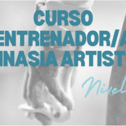 CURSO ENTRENADOR/A GIMNASIA ARTÍSTICA Nivel 3
