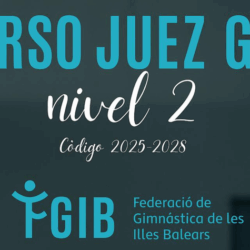 CURSO JUEZ NIVEL II GAF